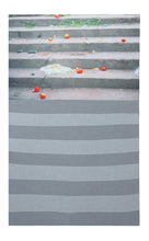 Load image into Gallery viewer, Skala