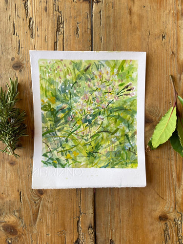 Spring Meadow