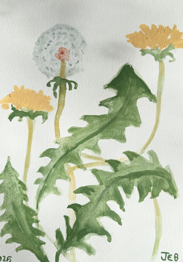 Spring Dandelion ii