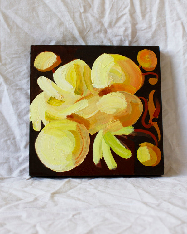 Studio Anemone Study 62