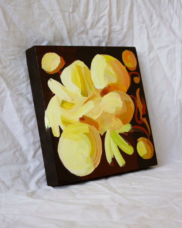 Studio Anemone Study 62