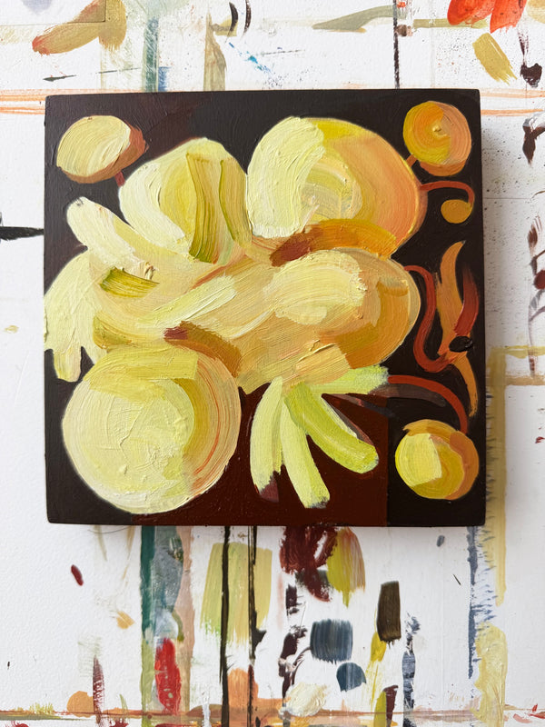 Studio Anemone Study 62