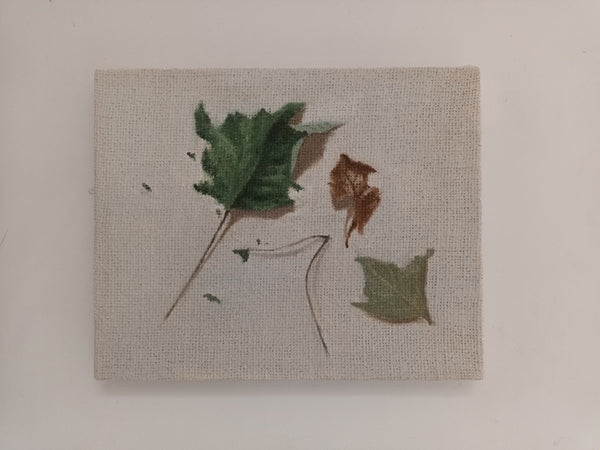 Summer leaves