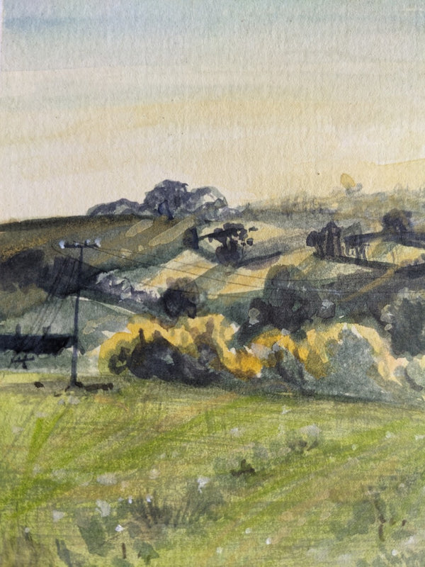 Sundown/Summer fields