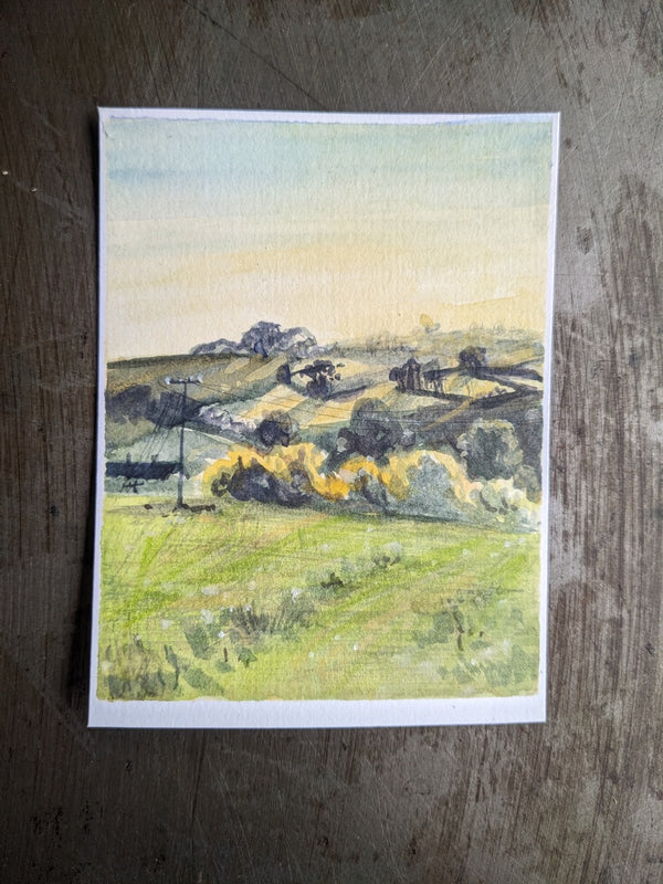 Sundown/Summer fields