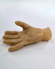 Load image into Gallery viewer, Waxed Cotton Palm (II)