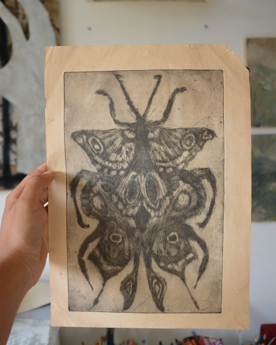 Close-up image of a whimsical moth and butterfly creature composition by Bethenie Carriaga for Partnership Editions.