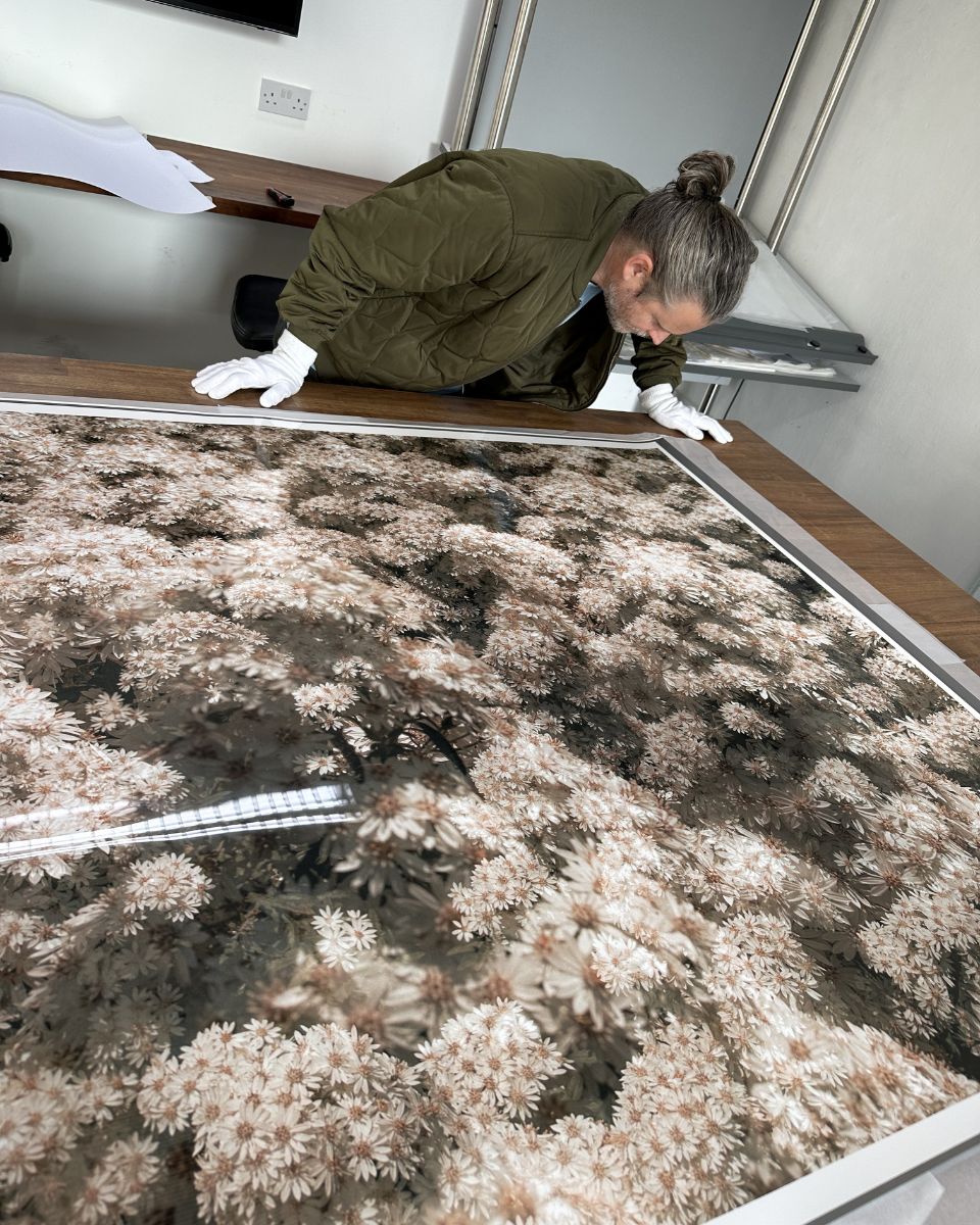 Photographer Casey Moore in his studio analysing a large-scale botanical floral print for Partnership Editions.