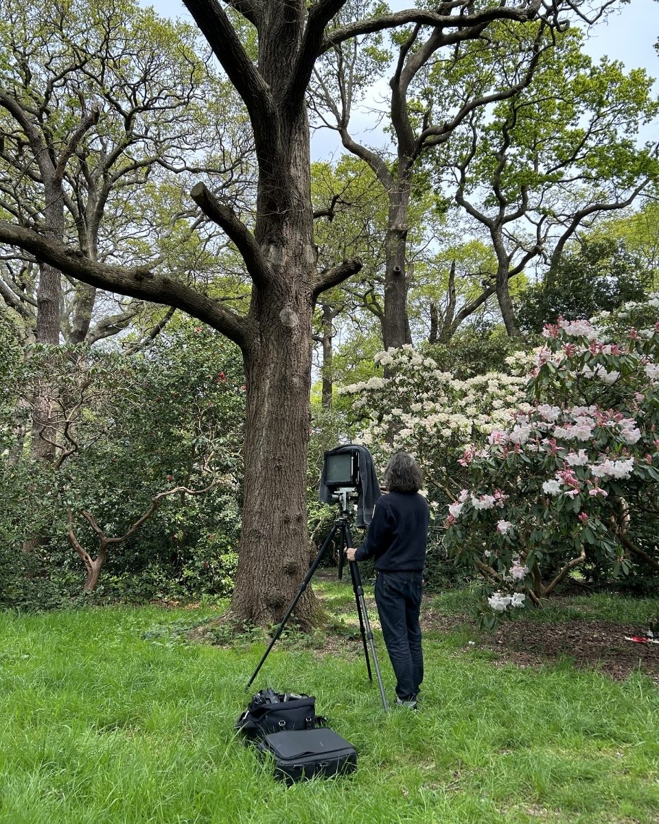Behind-the-scenes image of photographer Casey Moore capturing botanical subjects in nature for Partnership Editions.