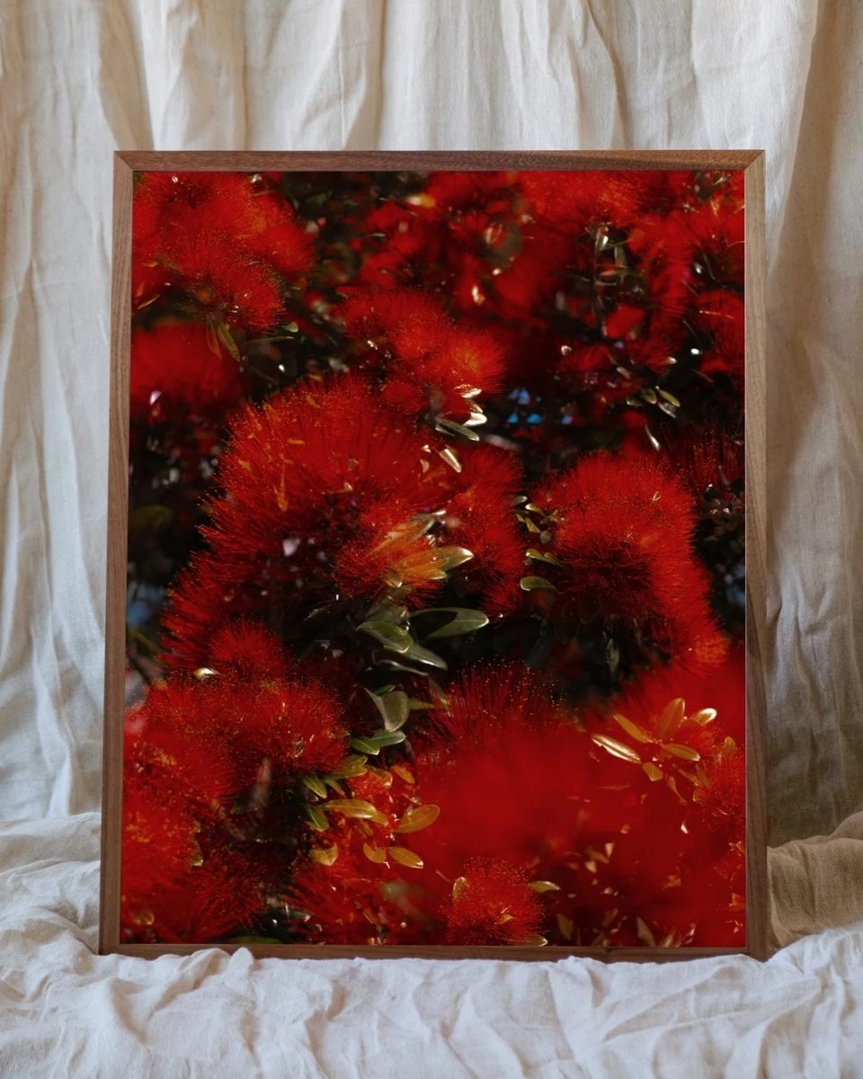 Fine art print of a red floral photograph by Casey Moore, set against a draped white fabric background for Partnership Editions