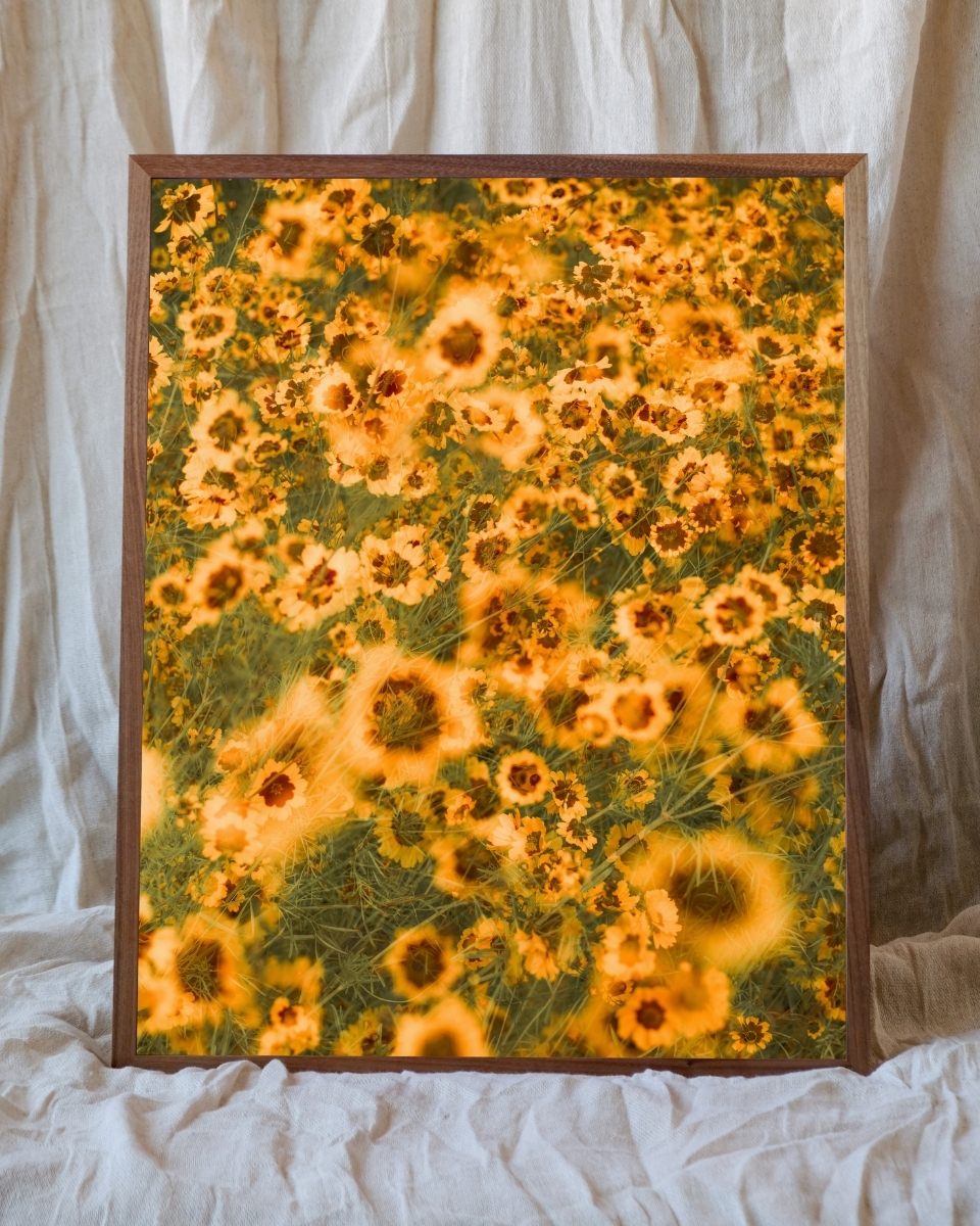Fine art print of a yellow floral photograph by Casey Moore, displayed on a textured white fabric backdrop for Partnership Editions
