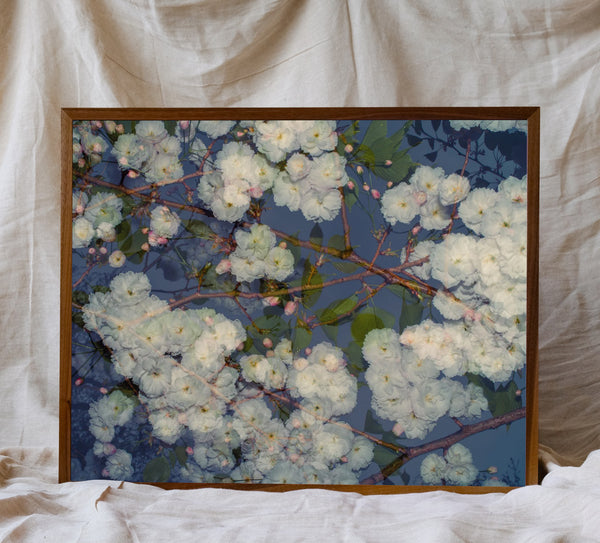 Blossom #68 (Unframed)