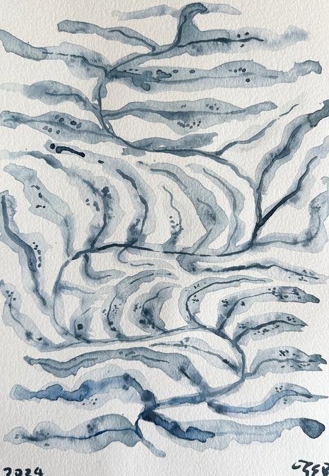 Dusky blue sea fern