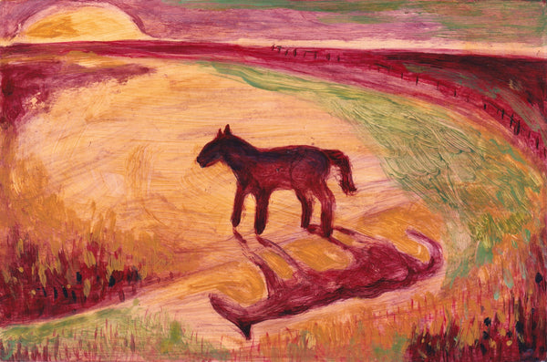 Horse at sunset