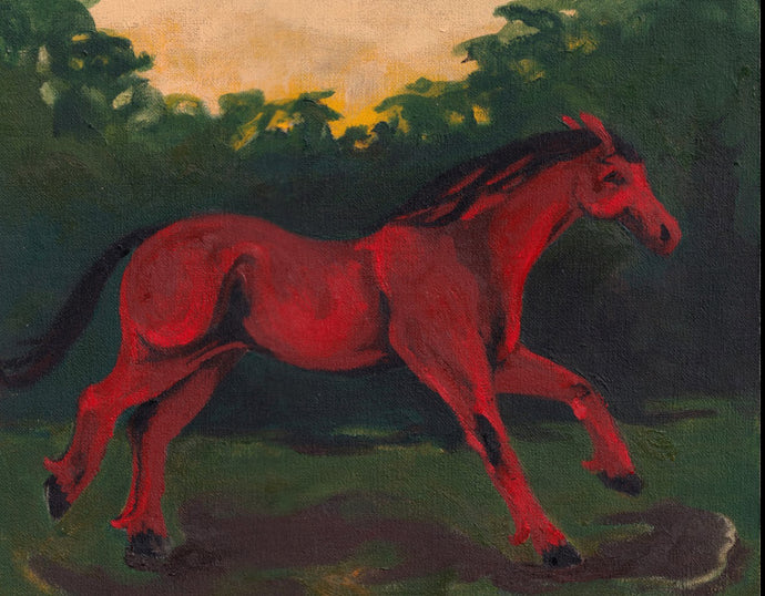Horse gallops through a field