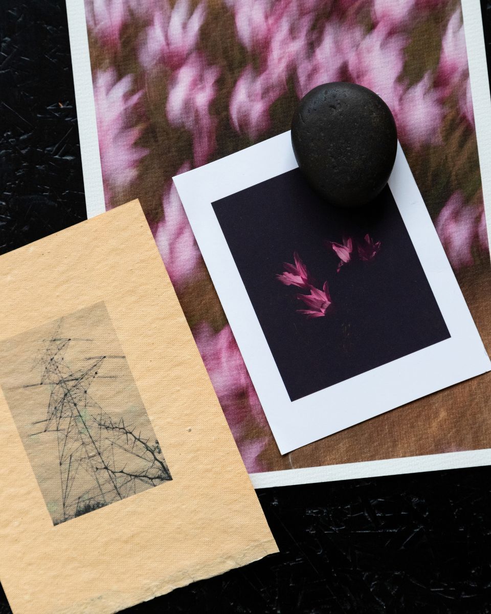 Detailed arrangement of photographic prints, botanical imagery, and a smooth dark stone on a workspace desk.