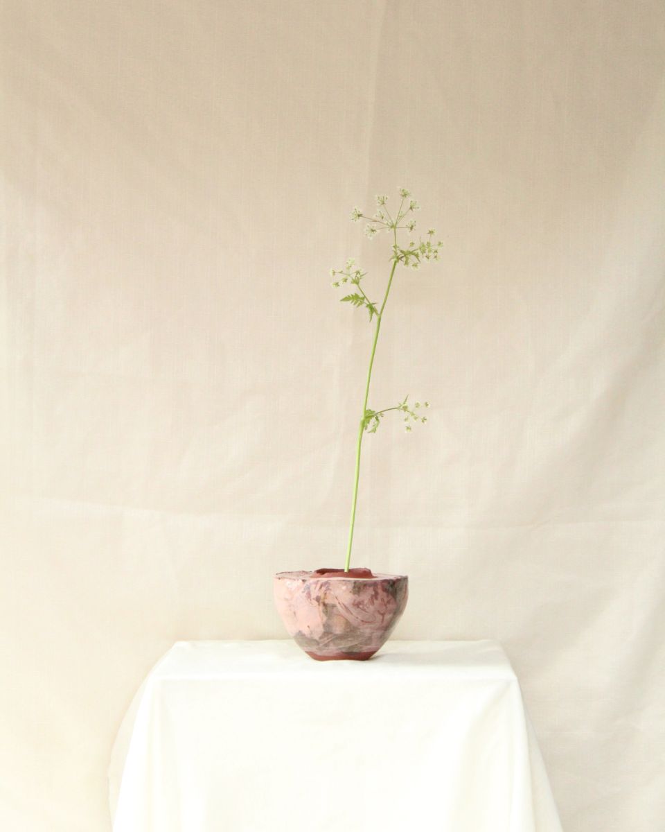 A small hand-painted Imogen Richards ceramic vase holding a green plant on a fabric-covered plinth.