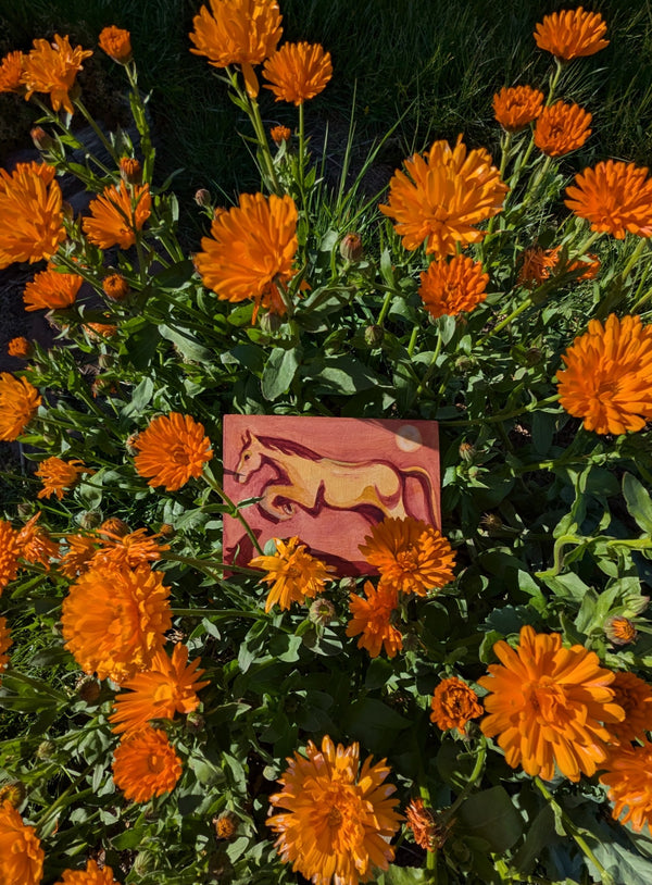 Leaping horse