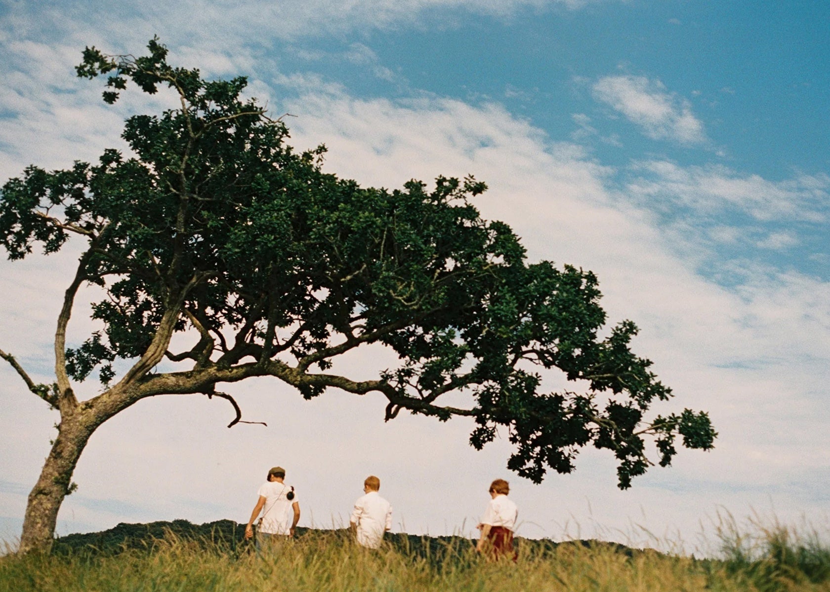 "The Tree and the Boys" by Lily Bertrand-Webb for the Partnership Editions press intro.