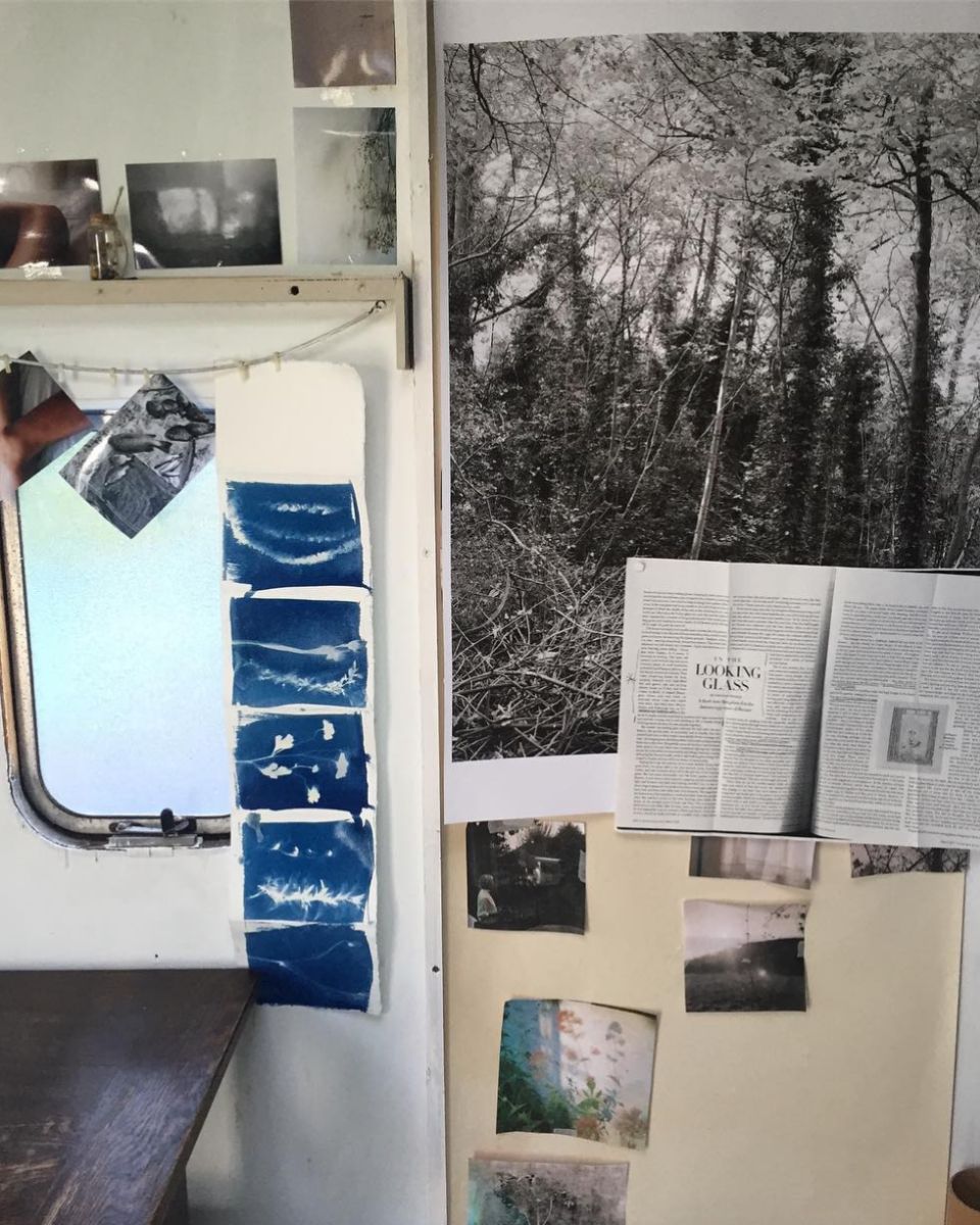 Inside Lottie Hampson's studio showing a wall pinned with deep blue cyanotype test strips, large black and white forest prints, and magazine clippings.