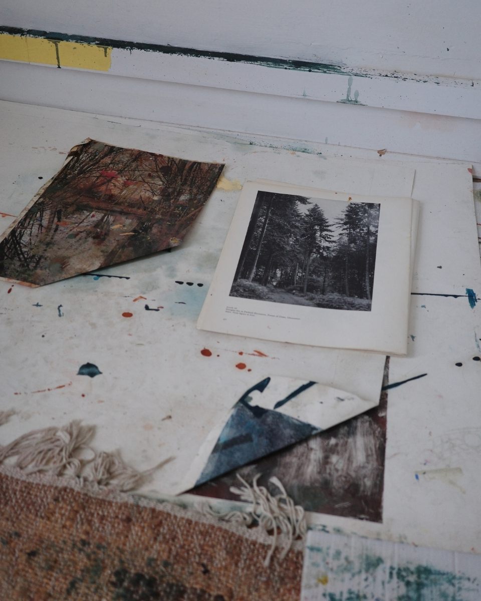 Detail of Mary West’s reference library, showing photographs and of forest environments that inspire her work.