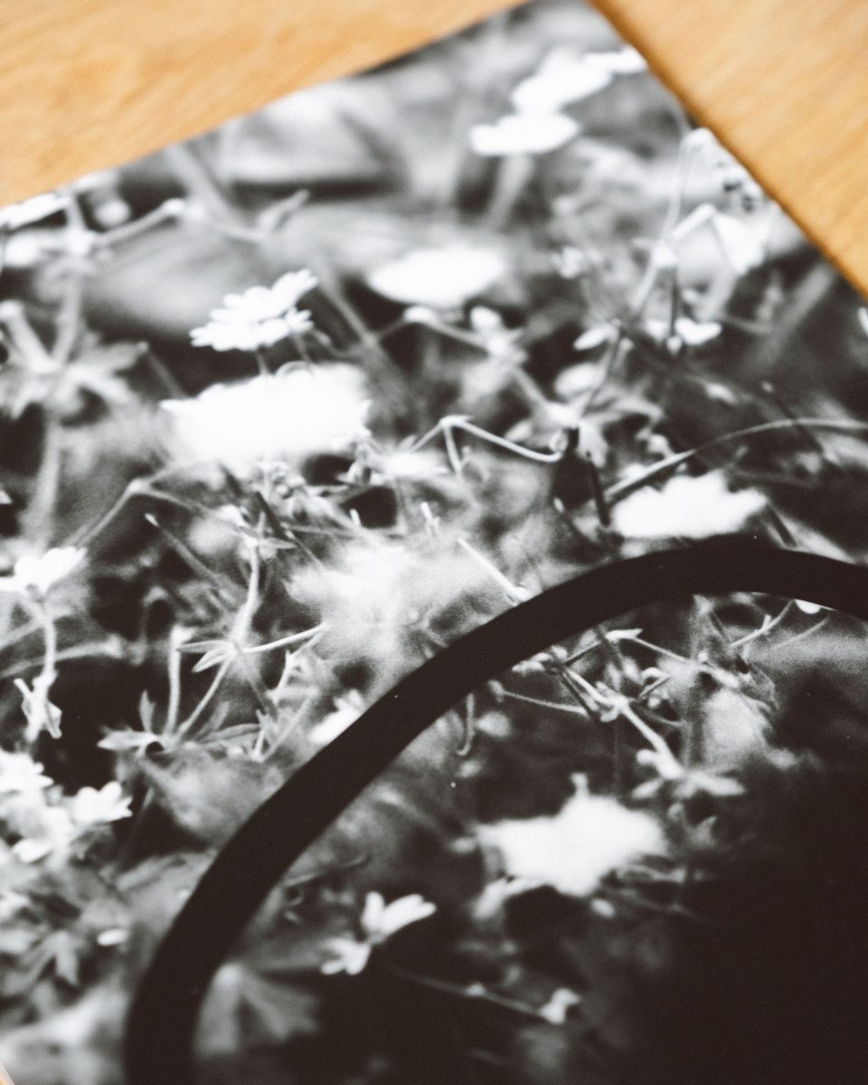 A close-up view of the fine art photographic print Flowers 3 inside Matt Ritson's photography studio.