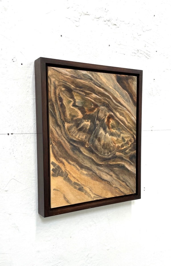 Mimesis (Framed)