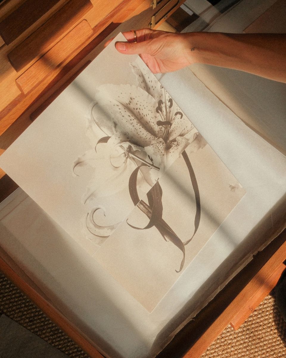 Artist hand holding a Sepia-toned photographic print of a lily flower over a wooden print drawer.