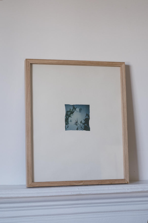 Clematis, campanula II (Framed)