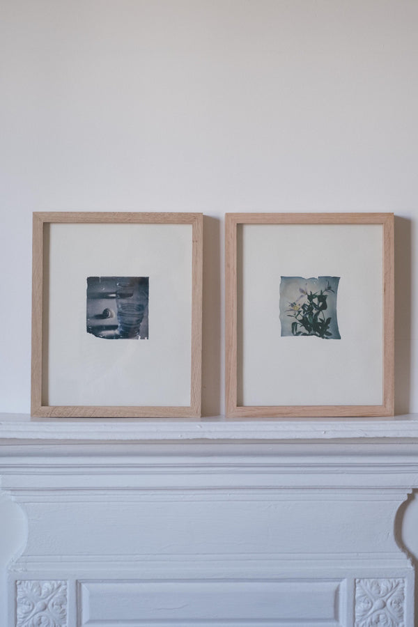 Clematis (Framed)