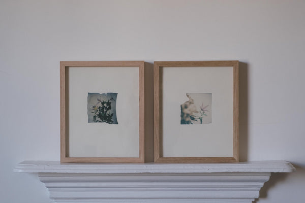 Clematis (Framed)