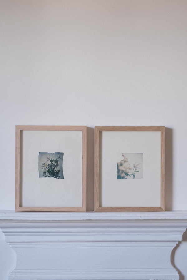 Chrysanthemum, clematis (Framed)