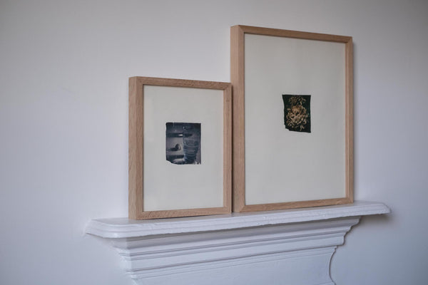 Chrysanthemum (Framed)