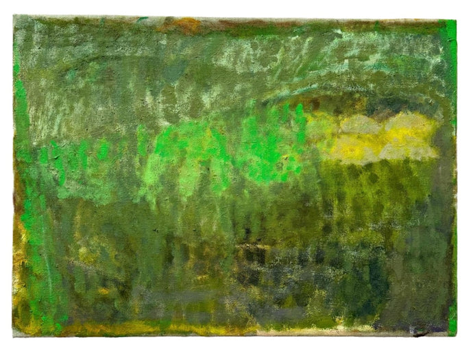 Shadows in the Bayou