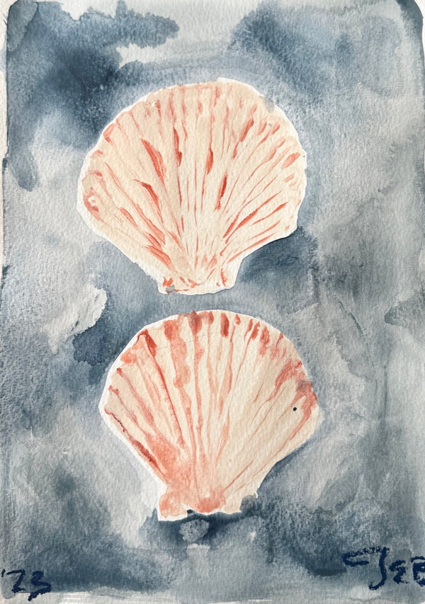 Shells in blue abyss