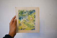 Load image into Gallery viewer, Snails