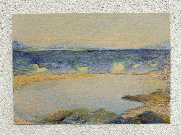 Swans at noon
