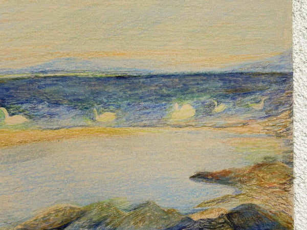Swans at noon
