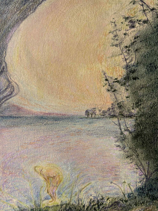 The diver