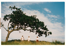Load image into Gallery viewer, The Tree and The Boys | Lily Bertrand-Webb | Photography | Partnership Editions