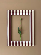 Load image into Gallery viewer, Pansy Stripes Frame &amp; Mount A3