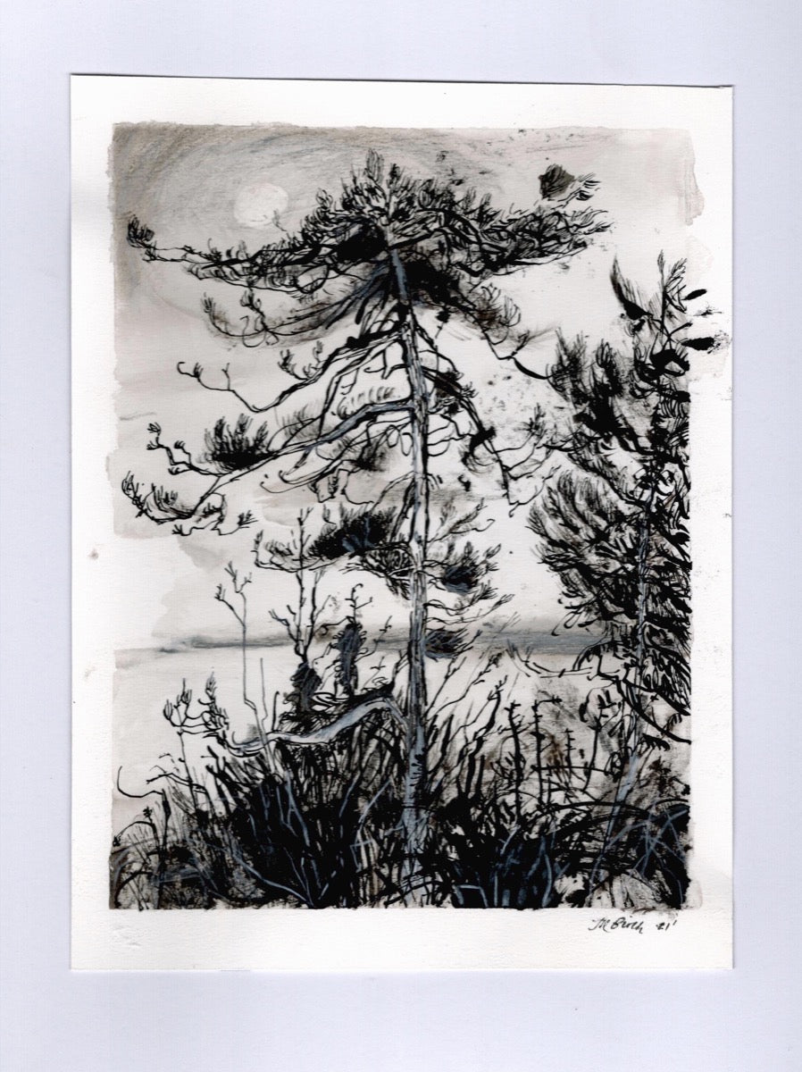 Above Valley Beach | Josephine Birch for Partnership Editions | Pen and ink drawing