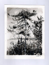 Load image into Gallery viewer, Above Valley Beach | Josephine Birch for Partnership Editions | Pen and ink drawing