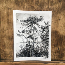 Load image into Gallery viewer, Above Valley Beach | Josephine Birch for Partnership Editions | Pen and ink drawing