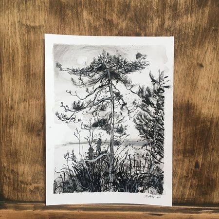 Above Valley Beach | Josephine Birch for Partnership Editions | Pen and ink drawing