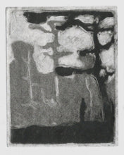 Load image into Gallery viewer, Afternoon at Hexworthy | Monoprint artwork | Josephine Birch for Partnership Editions