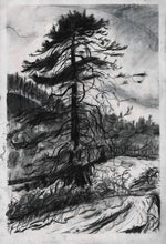 Load image into Gallery viewer, Big Red, Hafod Estate | Josephine Birch for Partnership Editions | Charcoal and ink wash drawing