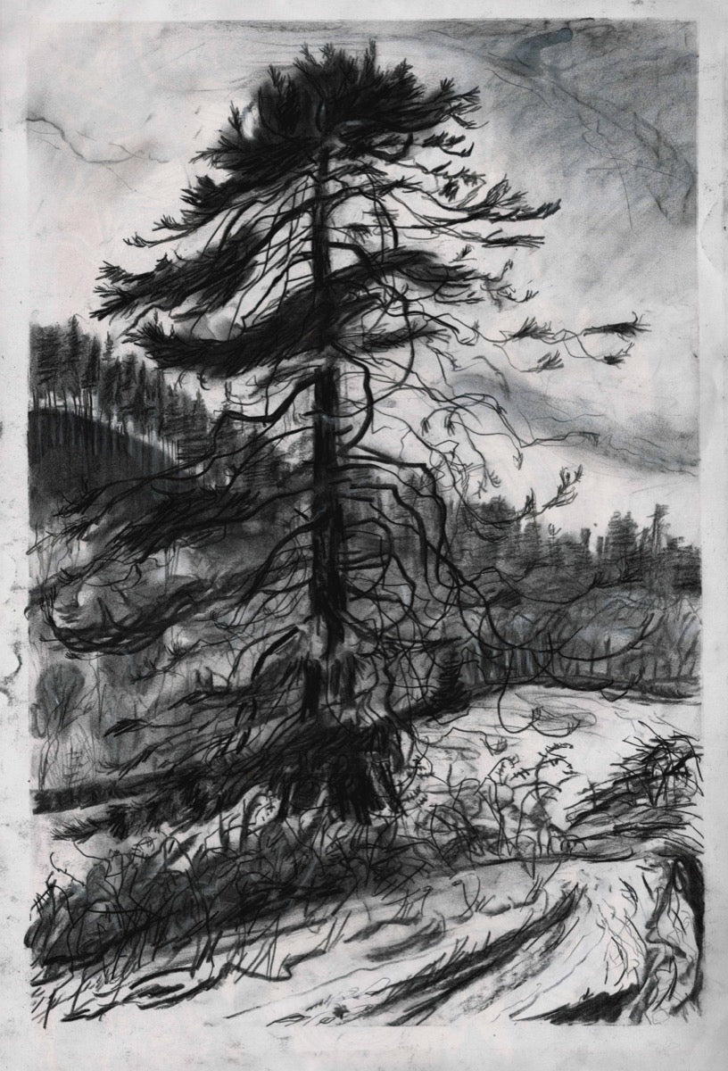 Big Red, Hafod Estate | Josephine Birch for Partnership Editions | Charcoal and ink wash drawing