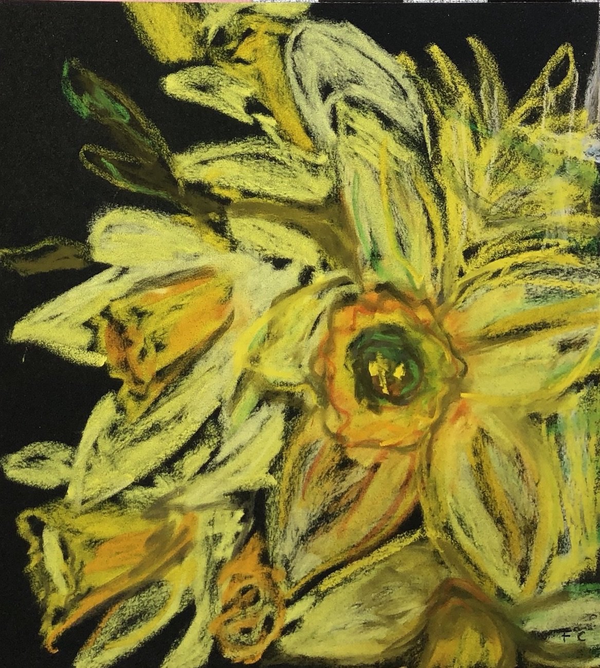 Daffodils on charcoal ground | Frances Costelloe | Original Artwork | Partnership Editions