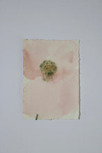 Load image into Gallery viewer, Field Flowers II